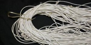 Elastic Cords