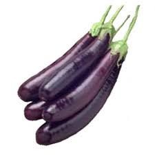 Fresh Brinjal