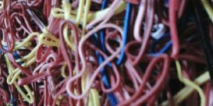 Silky Rubber Bands