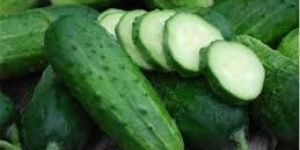 Cucumber