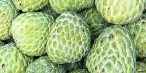 Custard Apple