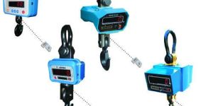 Standard Crane Weighing Scale