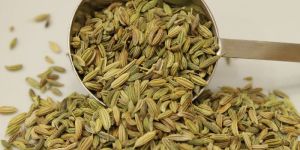 Fennel Seeds