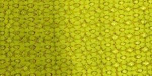 Pure Spandex Fabric