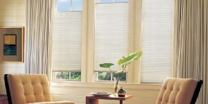 Honeycomb Blinds