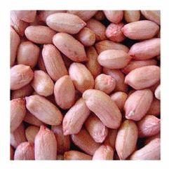 Groundnut Kernels