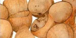 Coconut Shell