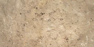 Fossil Brown Marble Stone