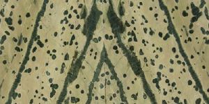 Lava Green Marble Stone