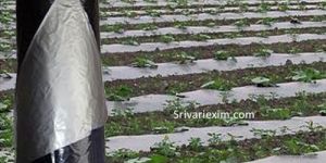 Mulching Film