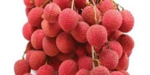Litchi