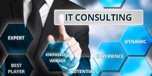 It Consultancy