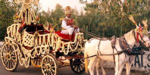 Wedding Baggi Services