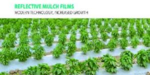 Mulching Paper