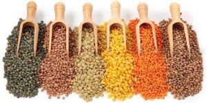 Indian Pulses