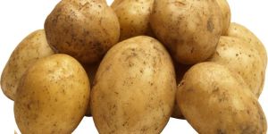 Fresh Potato