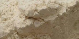 Dehydrated White Onion Powder