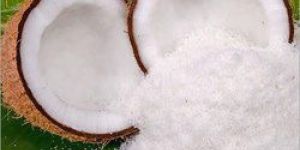 Desiccated Coconut Powder