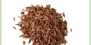 Cumin Seeds