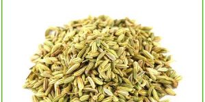 Fennel Seeds