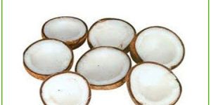 Coconut Copra