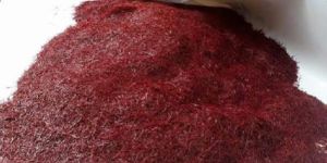 Kashmiri Saffron