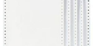 Pre Printed Continuous Stationery