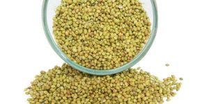 Coriander Seeds (Dhania)