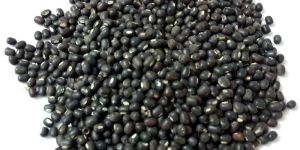 Urad Seeds