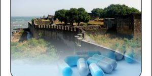 PCD Pharma Franchise