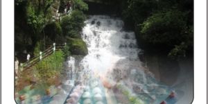 Pharma Franchise Services