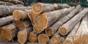 Wooden Logs
