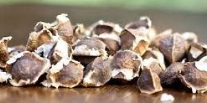 Moringa Seeds