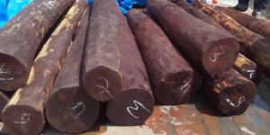 Red Sandalwood Logs