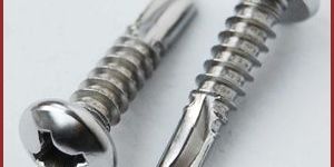 Stainless Steel Screws