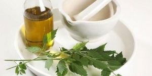 Refined Neem Oil