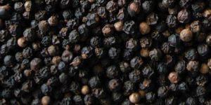 Black Pepper