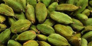 Green Cardamom