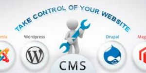 Dynamic Website Development