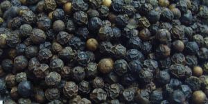 Black Pepper Seeds