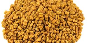 Fenugreek Seeds