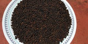 Sancta Maria Black Pepper