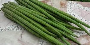 Fresh Green Drumsticks
