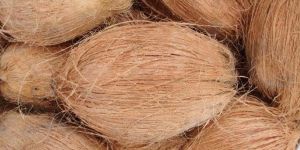 Semi Husked Coconut