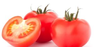 Fresh Tomato