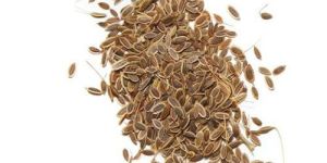 Dill Herbal Seeds