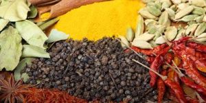 Indian Spices