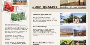 Quality Control Inspection Services