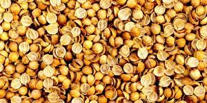 Split Coriander Seeds
