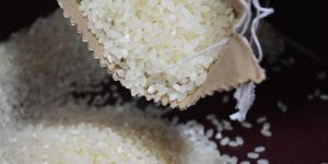 Raw Rice